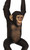 Hanging Jungle Jimmy K Close Up Image
