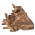 Random Teak Forest Specimens Planters Bases Room Scene